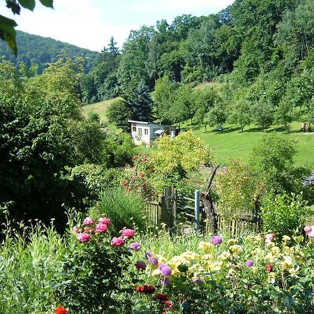 Ferienwohnungen allerleigrün Langenroda Exterior foto